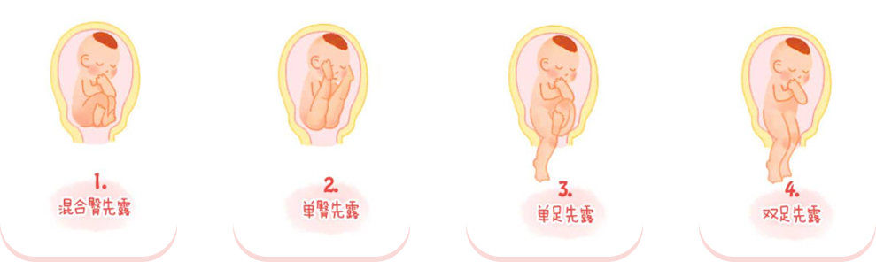 2024新澳门原料网大全新澳门宝典